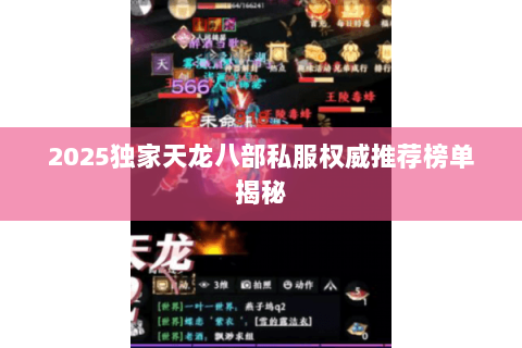 2025独家天龙八部私服权威推荐榜单揭秘 2025独家天龙八部私服权威推荐榜单揭秘