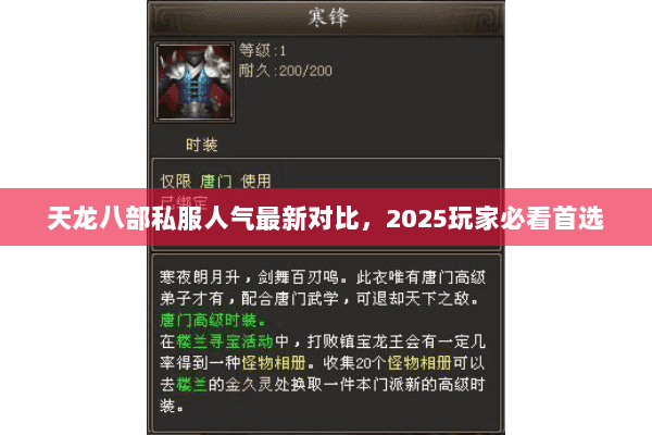 天龙八部私服人气最新对比,2025玩家必看首选 天龙八部私服人气最新对比,2025玩家必看首选