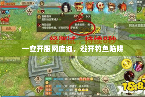 一查开服网底细,避开钓鱼陷阱 一查开服网底细,避开钓鱼陷阱