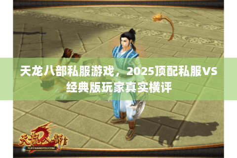 天龙八部私服游戏，2025顶配私服VS经典版玩家真实横评