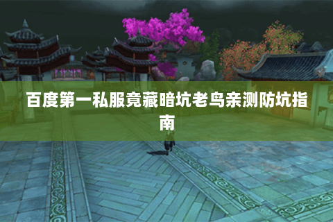 百度第一私服竟藏暗坑老鸟亲测防坑指南 百度第一私服竟藏暗坑老鸟亲测防坑指南