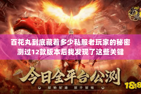 百花丸到底藏着多少私服老玩家的秘密测过12款版本后我发现了这些关键 百花丸到底藏着多少私服老玩家的秘密测过12款版本后我发现了这些关键