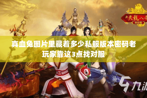 真血兔图片里藏着多少私服版本密码老玩家靠这3点找对服