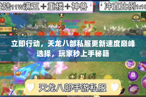 立即行动，天龙八部私服更新速度巅峰选择，玩家秒上手秘籍