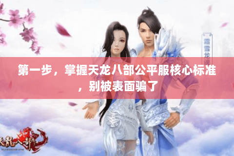 第一步,掌握天龙八部公平服核心标准,别被表面骗了 第一步,掌握天龙八部公平服核心标准,别被表面骗了