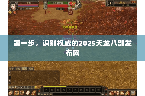 第一步,识别权威的2025天龙八部发布网 第一步,识别权威的2025天龙八部发布网