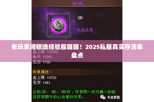 老玩家闭眼选经验服醒醒!2025私服真实存活率盘点 老玩家闭眼选经验服醒醒!2025私服真实存活率盘点