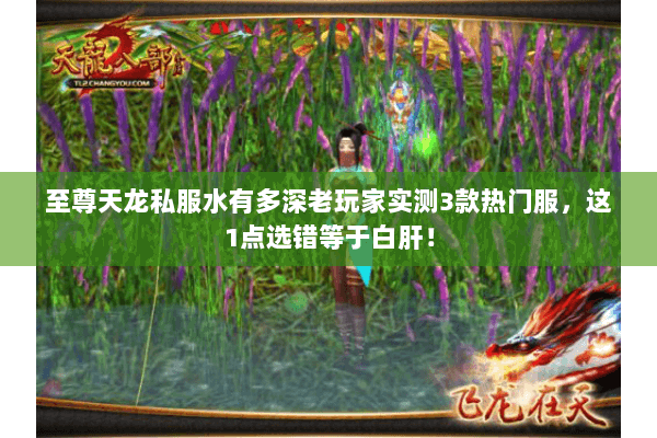 至尊天龙私服水有多深老玩家实测3款热门服,这1点选错等于白肝! 至尊天龙私服水有多深老玩家实测3款热门服,这1点选错等于白肝!