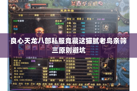 良心天龙八部私服竟藏这猫腻老鸟亲筛三原则避坑 良心天龙八部私服竟藏这猫腻老鸟亲筛三原则避坑