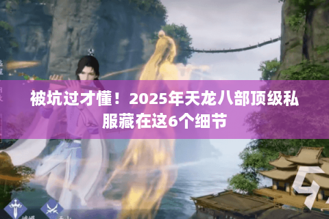 被坑过才懂！2025年天龙八部顶级私服藏在这6个细节