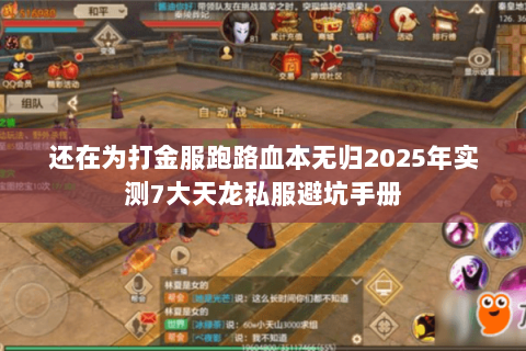 还在为打金服跑路血本无归2025年实测7大天龙私服避坑手册 还在为打金服跑路血本无归2025年实测7大天龙私服避坑手册