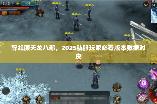 醉红颜天龙八部,2025私服玩家必看版本数据对决 醉红颜天龙八部,2025私服玩家必看版本数据对决