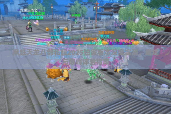 黑纸天龙八部私服2025独家版本深度实测，避坑与巅峰体验指南