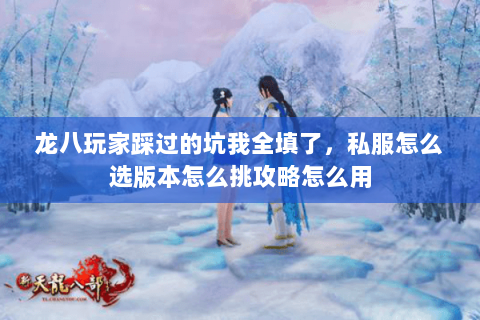 龙八玩家踩过的坑我全填了，私服怎么选版本怎么挑攻略怎么用