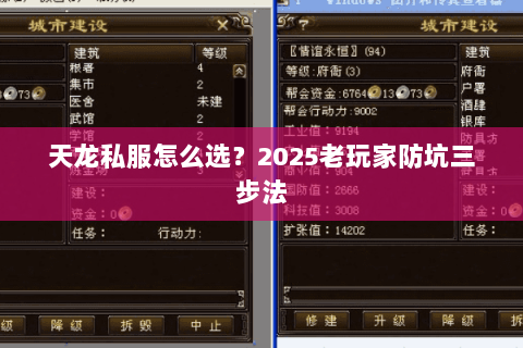 天龙私服怎么选？2025老玩家防坑三步法