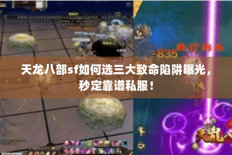 天龙八部sf如何选三大致命陷阱曝光,秒定靠谱私服! 天龙八部sf如何选三大致命陷阱曝光,秒定靠谱私服!