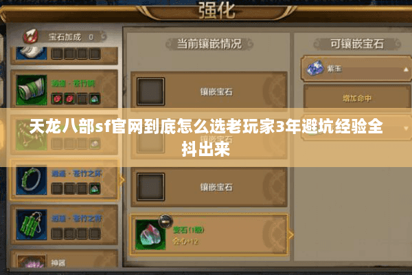 天龙八部sf官网到底怎么选老玩家3年避坑经验全抖出来