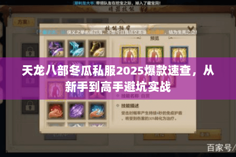 天龙八部冬瓜私服2025爆款速查,从新手到高手避坑实战 天龙八部冬瓜私服2025爆款速查,从新手到高手避坑实战