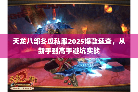 天龙八部冬瓜私服2025爆款速查,从新手到高手避坑实战 天龙八部冬瓜私服2025爆款速查,从新手到高手避坑实战
