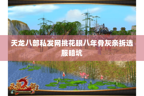 天龙八部私发网挑花眼八年骨灰亲拆选服暗坑