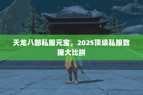 天龙八部私服元宝,2025顶级私服数据大比拼 天龙八部私服元宝,2025顶级私服数据大比拼
