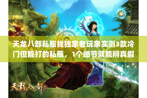 天龙八部私服找独家老玩家实测3款冷门但能打的私服,1个细节就能辨真假 天龙八部私服找独家老玩家实测3款冷门但能打的私服,1个细节就能辨真假