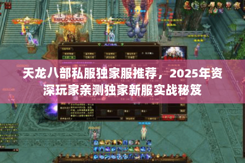 天龙八部私服独家服推荐,2025年资深玩家亲测独家新服实战秘笈 天龙八部私服独家服推荐,2025年资深玩家亲测独家新服实战秘笈