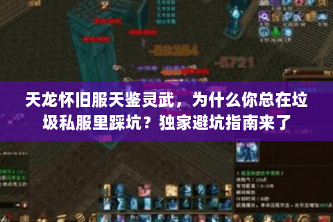 天龙怀旧服天鉴灵武，为什么你总在垃圾私服里踩坑？独家避坑指南来了
