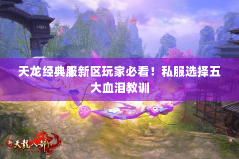 天龙经典服新区玩家必看!私服选择五大血泪教训 天龙经典服新区玩家必看!私服选择五大血泪教训