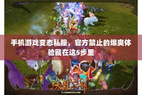 手机游戏变态私服,官方禁止的爆爽体验藏在这5步里 手机游戏变态私服,官方禁止的爆爽体验藏在这5步里