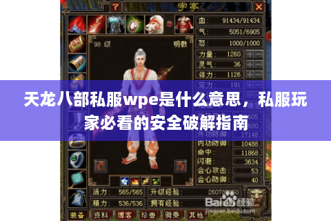 天龙八部私服wpe是什么意思，私服玩家必看的安全破解指南