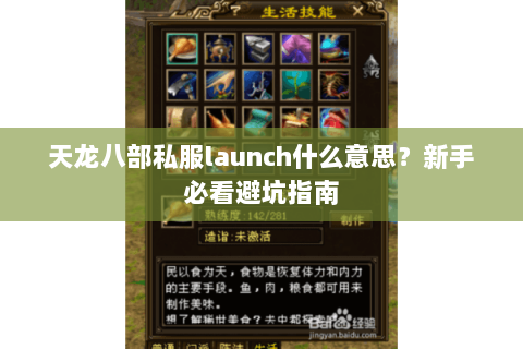 天龙八部私服launch什么意思?新手必看避坑指南 天龙八部私服launch什么意思?新手必看避坑指南