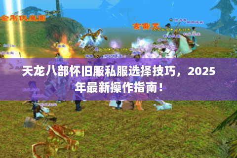 天龙八部怀旧服私服选择技巧,2025年最新操作指南! 天龙八部怀旧服私服选择技巧,2025年最新操作指南!