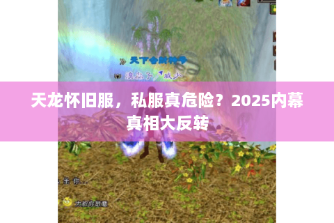 天龙怀旧服,私服真危险?2025内幕真相大反转 天龙怀旧服,私服真危险?2025内幕真相大反转