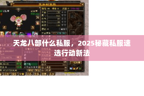 天龙八部什么私服，2025秘藏私服速选行动新法