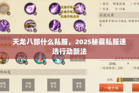 天龙八部什么私服，2025秘藏私服速选行动新法