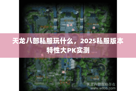 天龙八部私服玩什么,2025私服版本特性大PK实测 天龙八部私服玩什么,2025私服版本特性大PK实测