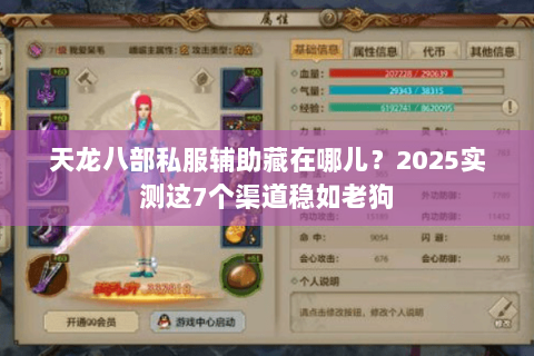 天龙八部私服辅助藏在哪儿？2025实测这7个渠道稳如老狗