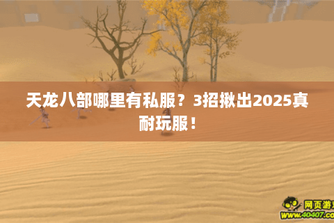天龙八部哪里有私服？3招揪出2025真耐玩服！