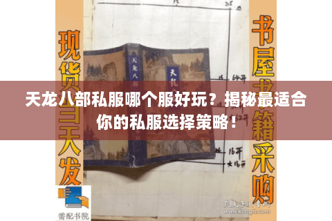 天龙八部私服哪个服好玩?揭秘最适合你的私服选择策略! 天龙八部私服哪个服好玩?揭秘最适合你的私服选择策略!