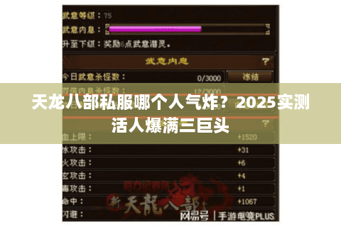 天龙八部私服哪个人气炸?2025实测活人爆满三巨头 天龙八部私服哪个人气炸?2025实测活人爆满三巨头
