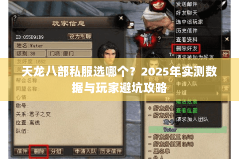 天龙八部私服选哪个?2025年实测数据与玩家避坑攻略 天龙八部私服选哪个?2025年实测数据与玩家避坑攻略
