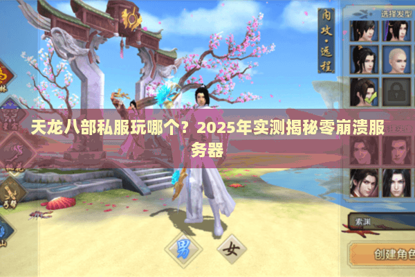 天龙八部私服玩哪个？2025年实测揭秘零崩溃服务器