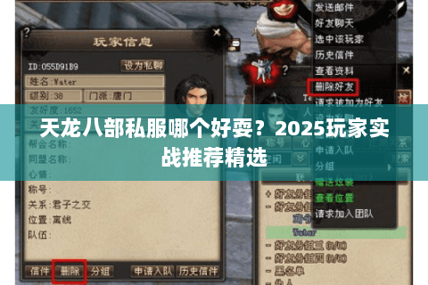 天龙八部私服哪个好耍?2025玩家实战推荐精选 天龙八部私服哪个好耍?2025玩家实战推荐精选