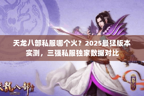 天龙八部私服哪个火？2025最猛版本实测，三强私服独家数据对比