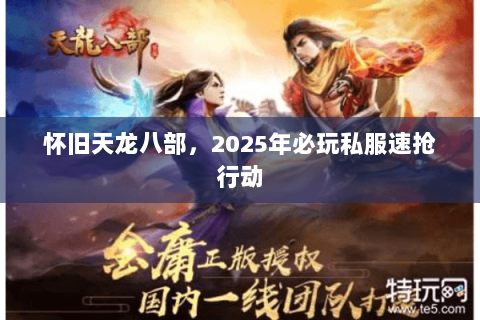 怀旧天龙八部，2025年必玩私服速抢行动