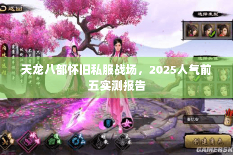 天龙八部怀旧私服战场,2025人气前五实测报告 天龙八部怀旧私服战场,2025人气前五实测报告