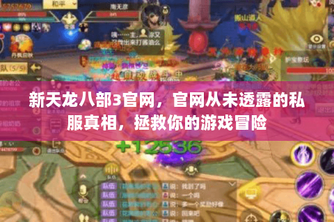 新天龙八部3官网,官网从未透露的私服真相,拯救你的游戏冒险 新天龙八部3官网,官网从未透露的私服真相,拯救你的游戏冒险