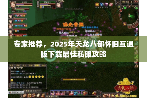 专家推荐,2025年天龙八部怀旧互通版下载最佳私服攻略 专家推荐,2025年天龙八部怀旧互通版下载最佳私服攻略