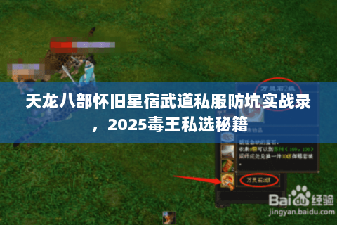 天龙八部怀旧星宿武道私服防坑实战录，2025毒王私选秘籍